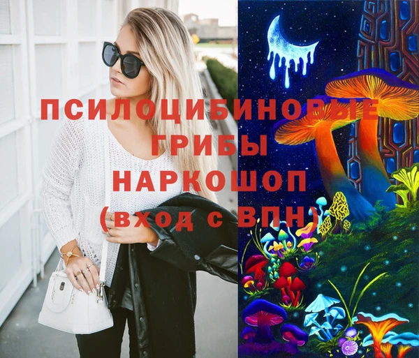 соль ск Алексин