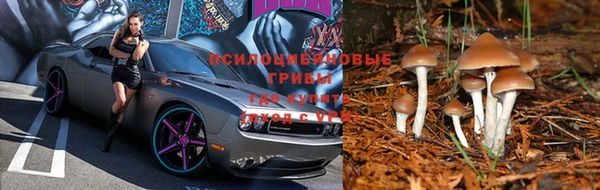 марки nbome Алексеевка